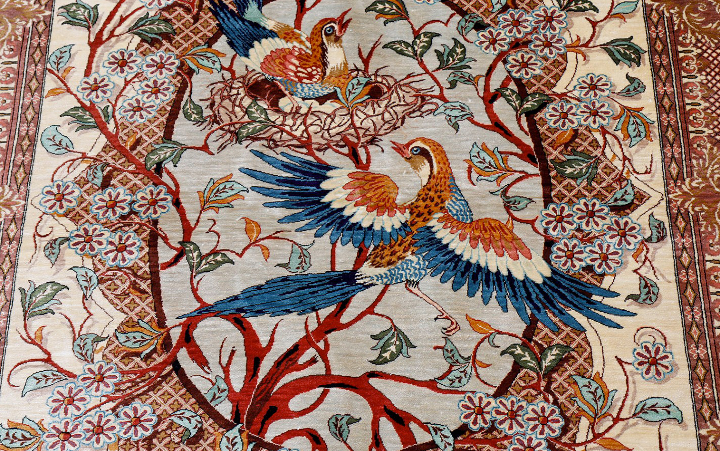 Le Voyage des Oiseaux