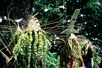 Musiques du Vanuatu